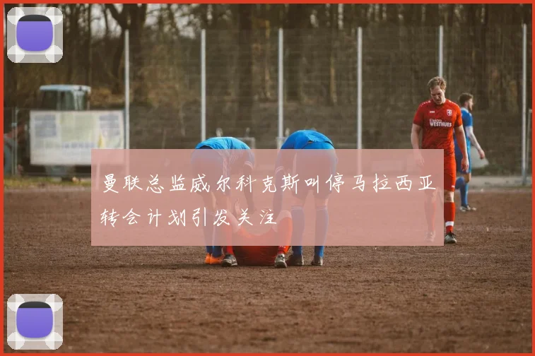 曼联总监威尔科克斯叫停马拉西亚转会计划引发关注